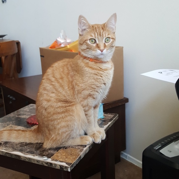 BUN-dle & Save That... MONEY MONEY MONEY! - Picture 7 of 8